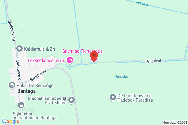 Jong, De