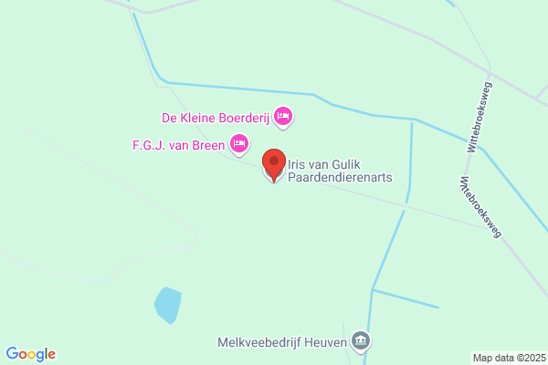Gulik, Ir H G Van