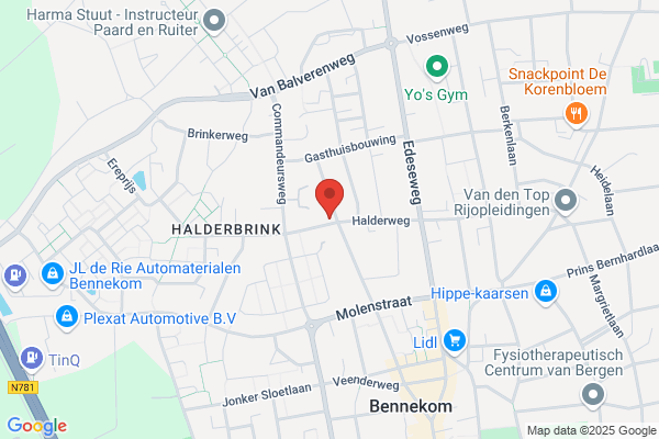 Bloemenmand, De
