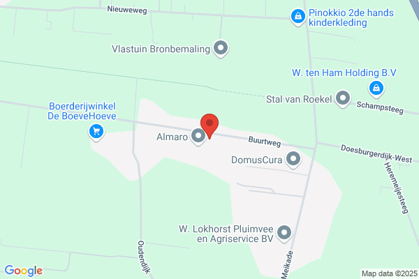 Allemanskamp