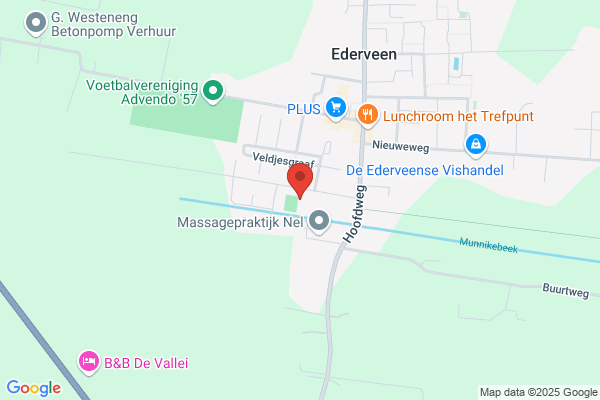 Calvijnsch