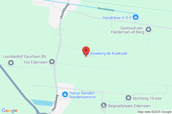 Koekoek, De