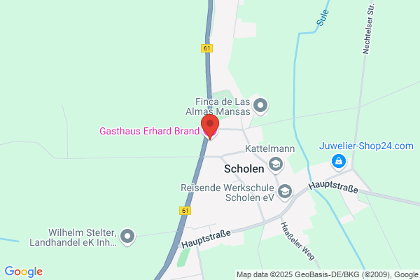 Brandgans, De