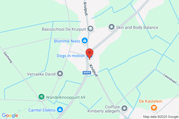 Trimsalon Hondenspul