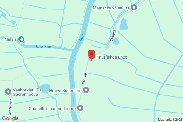 F. Hamelink Handelsonderneming