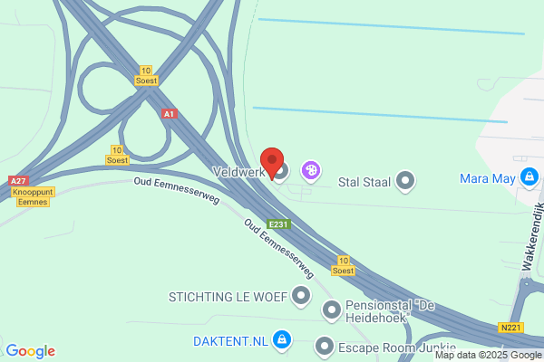 Maxis Cv