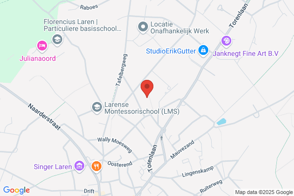 De Gooische School