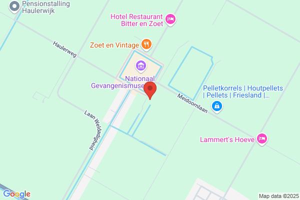 Robuusteiken
