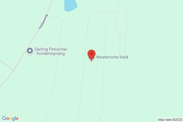 't Eenerveld