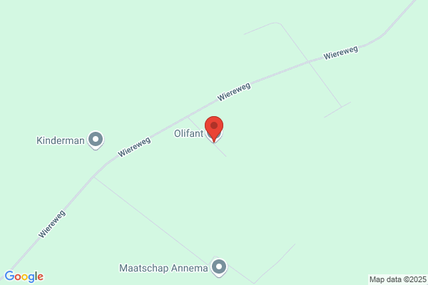 Olifant, De