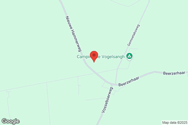 Vogelzang Schoorsteenveger