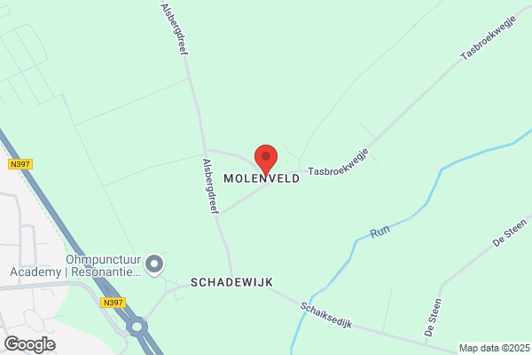 Msa