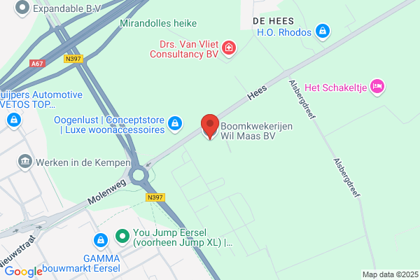 Auto Maas Eersel