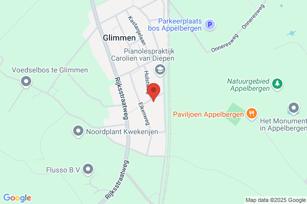 Dans En Zalencentrum Koning