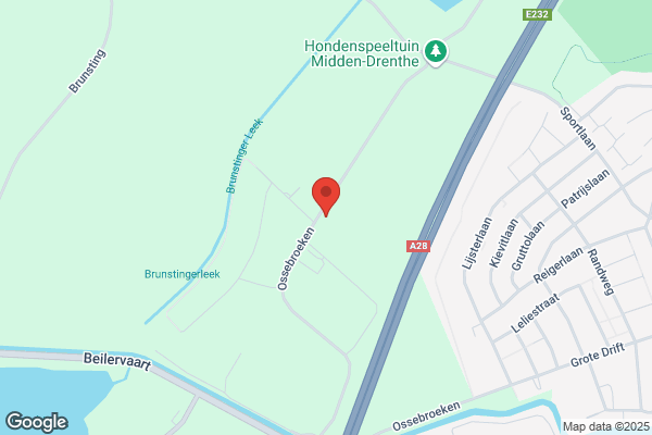Fictorie Speel- En Tuinhout, H