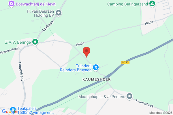 Bruynen
