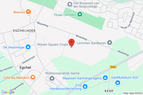 Wijnen Paprika's