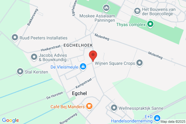 Zomerkoninkje, Het