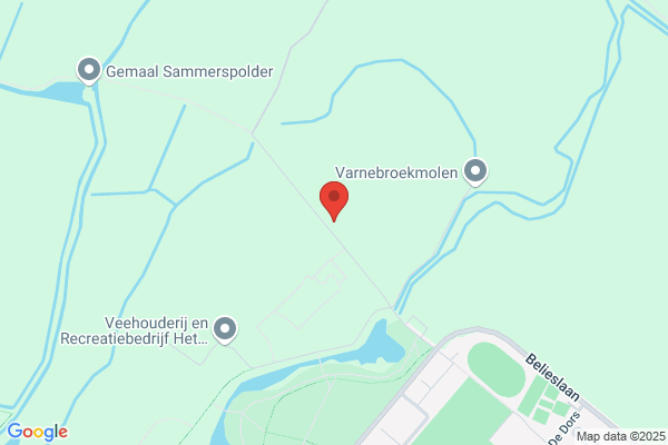 Roedema Belastingadvies, Mr