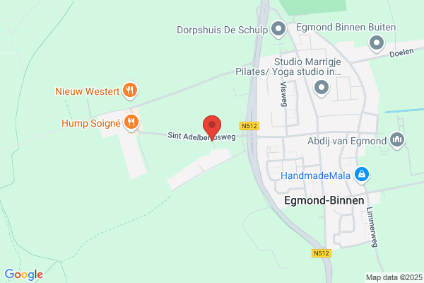 Kliniek Voor Paarden