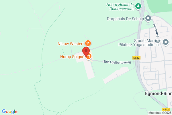 Molenaar, N
