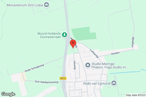Schulp, De