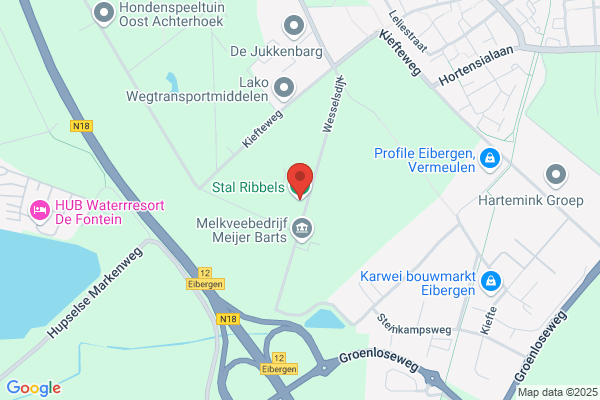 Stal Ribbels Bv