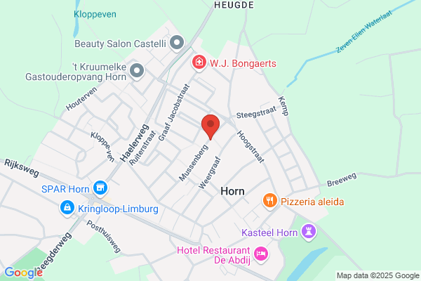 Bv V/H P.M. Horn En Zn.