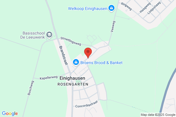 Eijkenboom