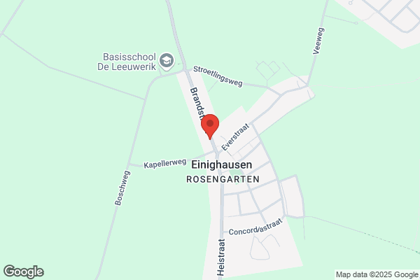 Pepels Servicedienst