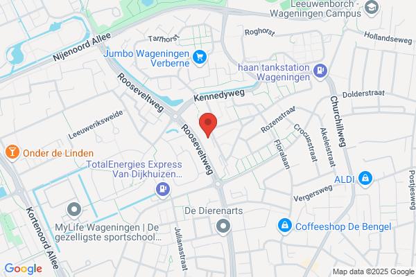 Driel & Nienhuis, Van