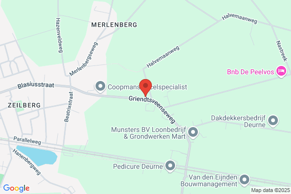 Cfo Cnv Bond
