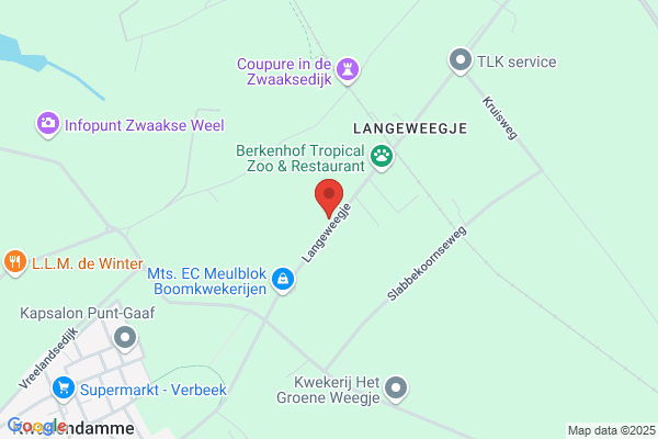 Vooruus, 't