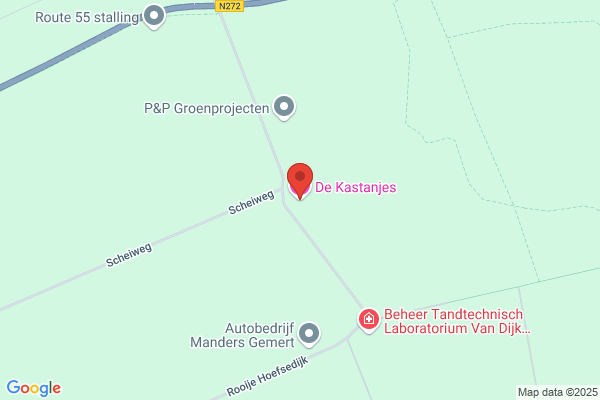 De Kastanjes