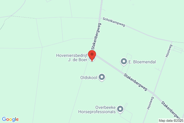 Boer, J De