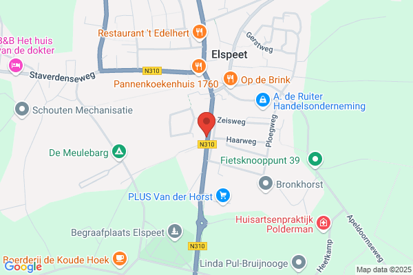 Elspeet Vv