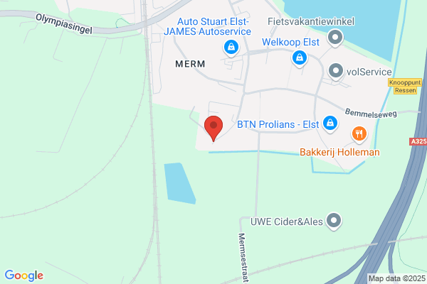 Elst