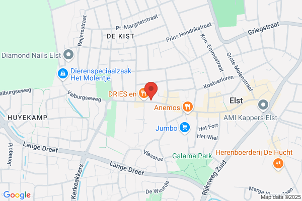 Action Elst