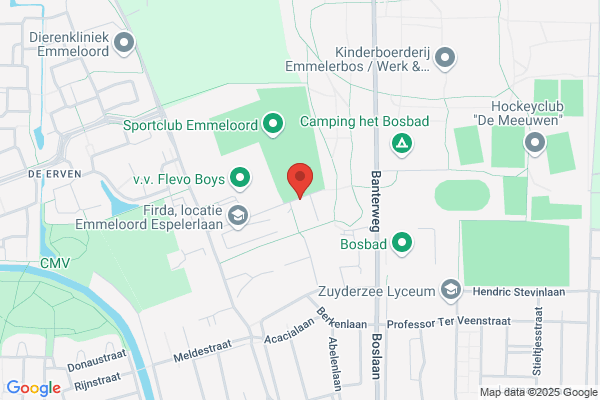 Fysiotherapie Praktijk De Wilg