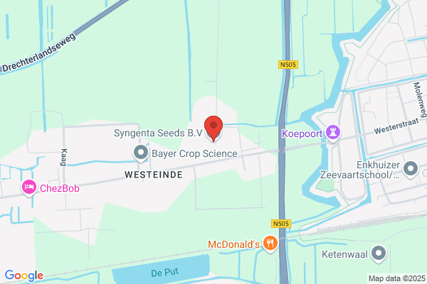 Syngenta Seeds Bv