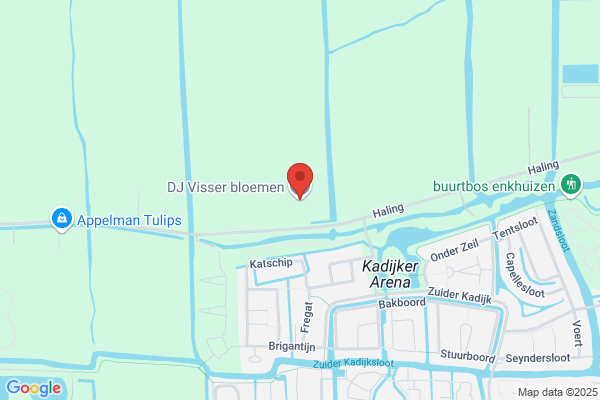 Visser Bloembollen
