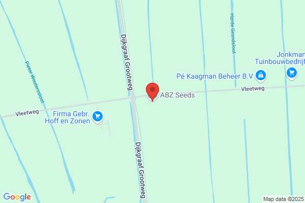 Abz Aardbeien Uit Zaad Bv