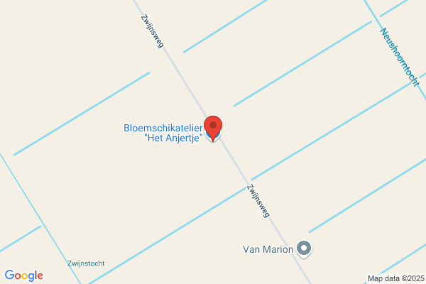 Anjertje, Het