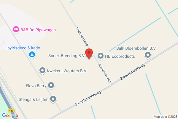 Snoek En Zoon Bv