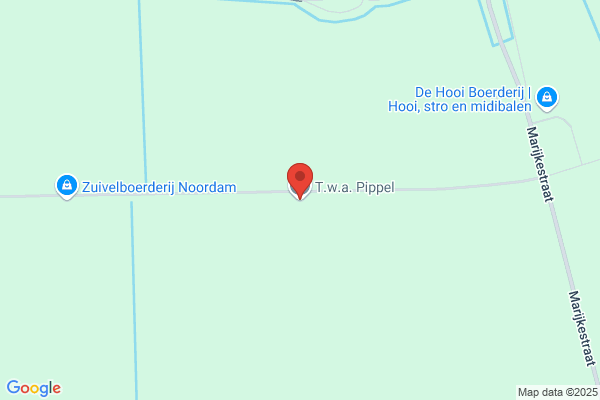 Pippel