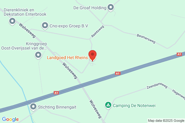 Rheins, Het