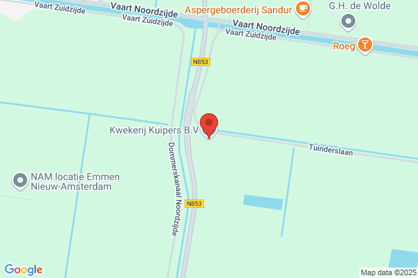 Plantenkwekerij Ron Peters Bv