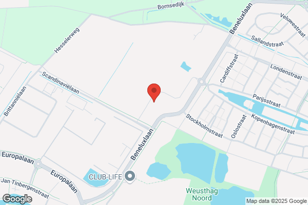 Boomkamp, De
