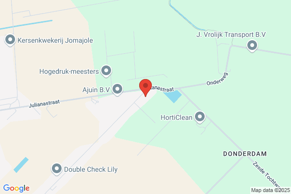 Anturium Kwekerij Joosten Veens Bv