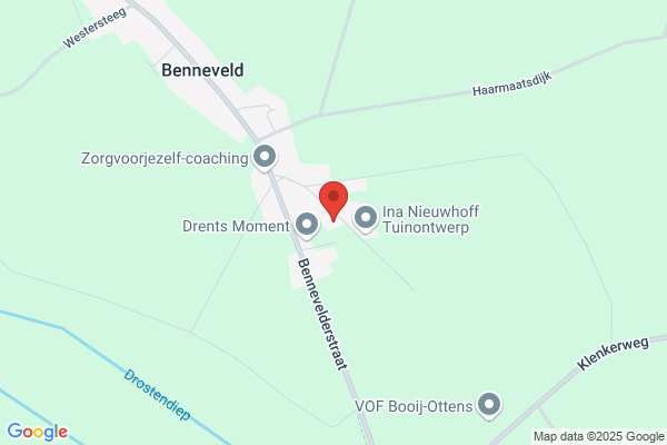 Klassieke Homeopathie Vlist-Smit N S Vd